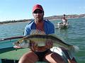 caspe benjamin 033